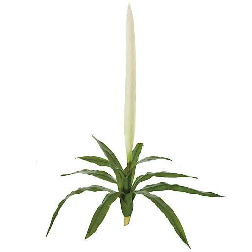 29" Artificial Sword Bromeliad Plant Flower Bush -Cream (Pack of 12)