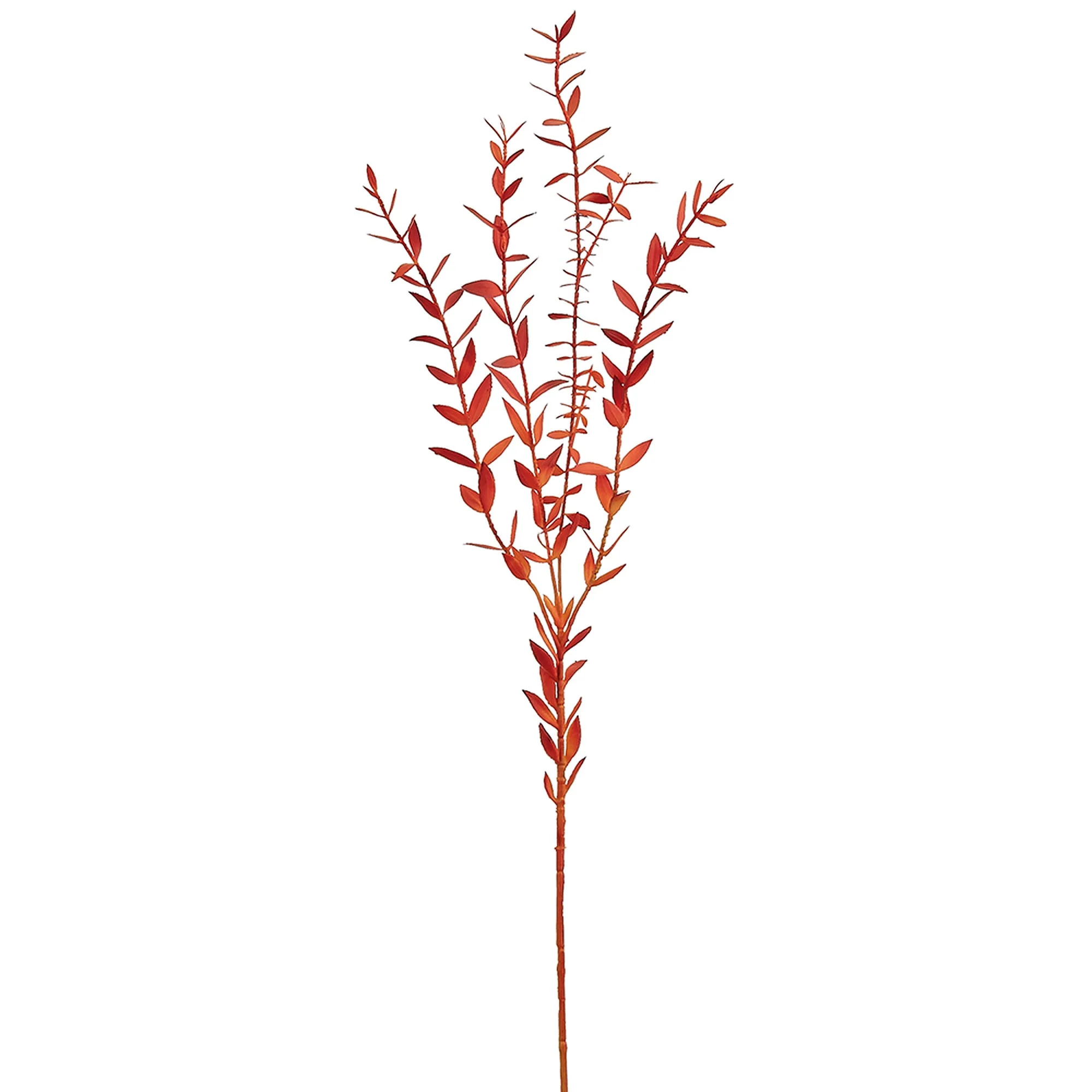 29" Eucalyptus Parvifolia Leaf Silk Stem -Flame (Pack of 12)