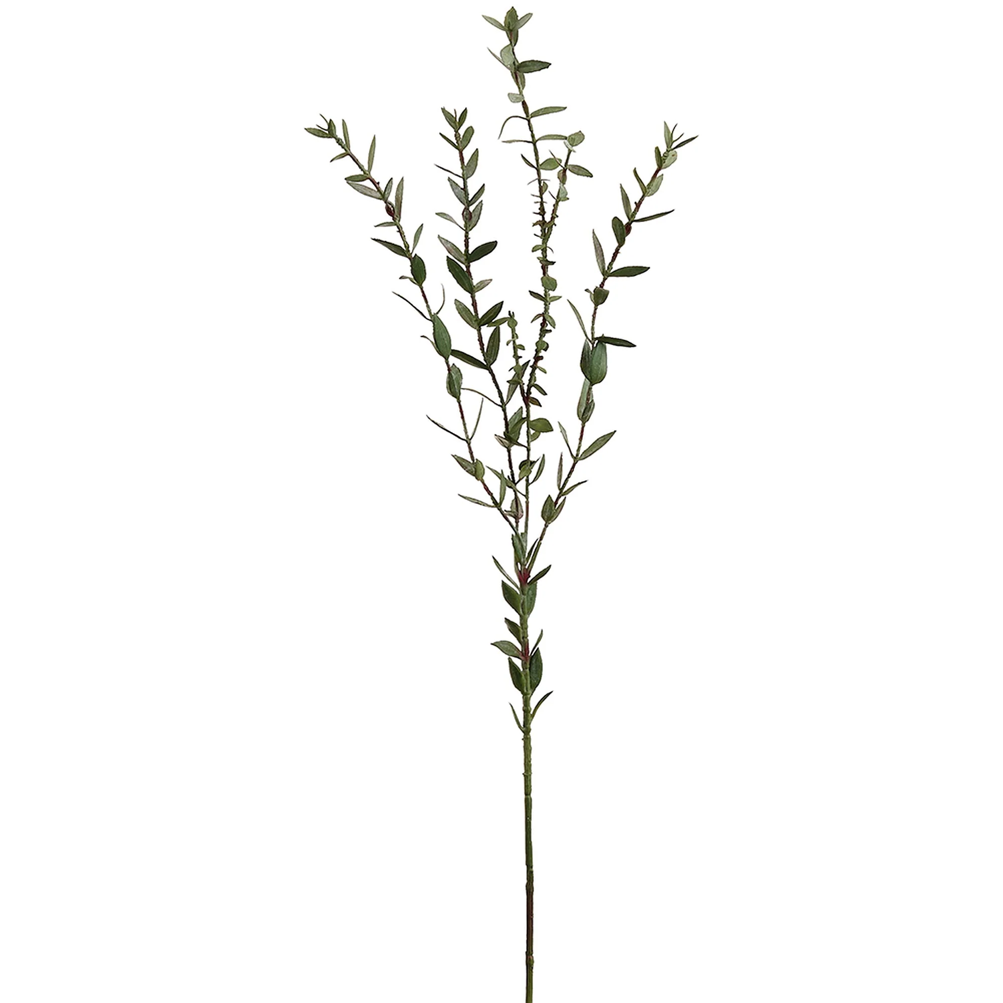 29" Eucalyptus Parvifolia Leaf Silk Stem -Green (Pack of 12)
