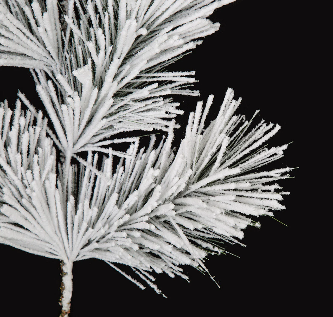 29" Flocked Artificial Long Needle Pine Stem -White/Green (Pack of 12) - Image 2