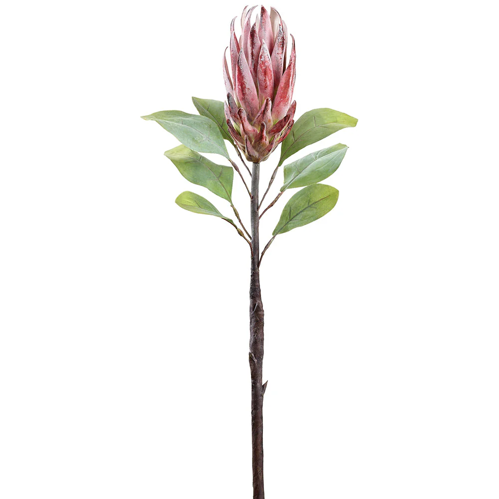 29" Protea Faux Flower Stem -Fuchsia/Green (Pack of 12)
