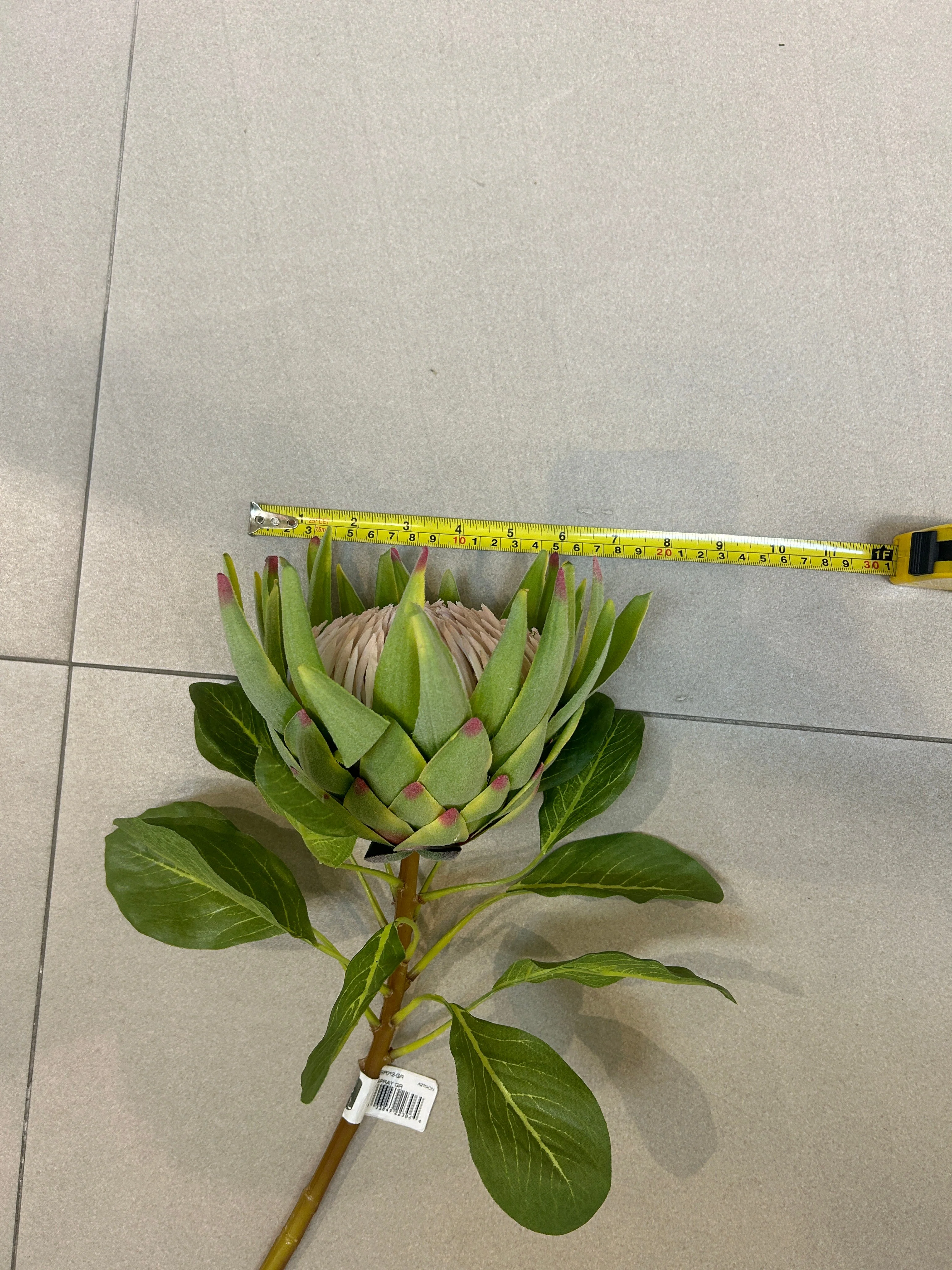 29" Protea Silk Flower Stem -Green (Pack of 12) - Image 2