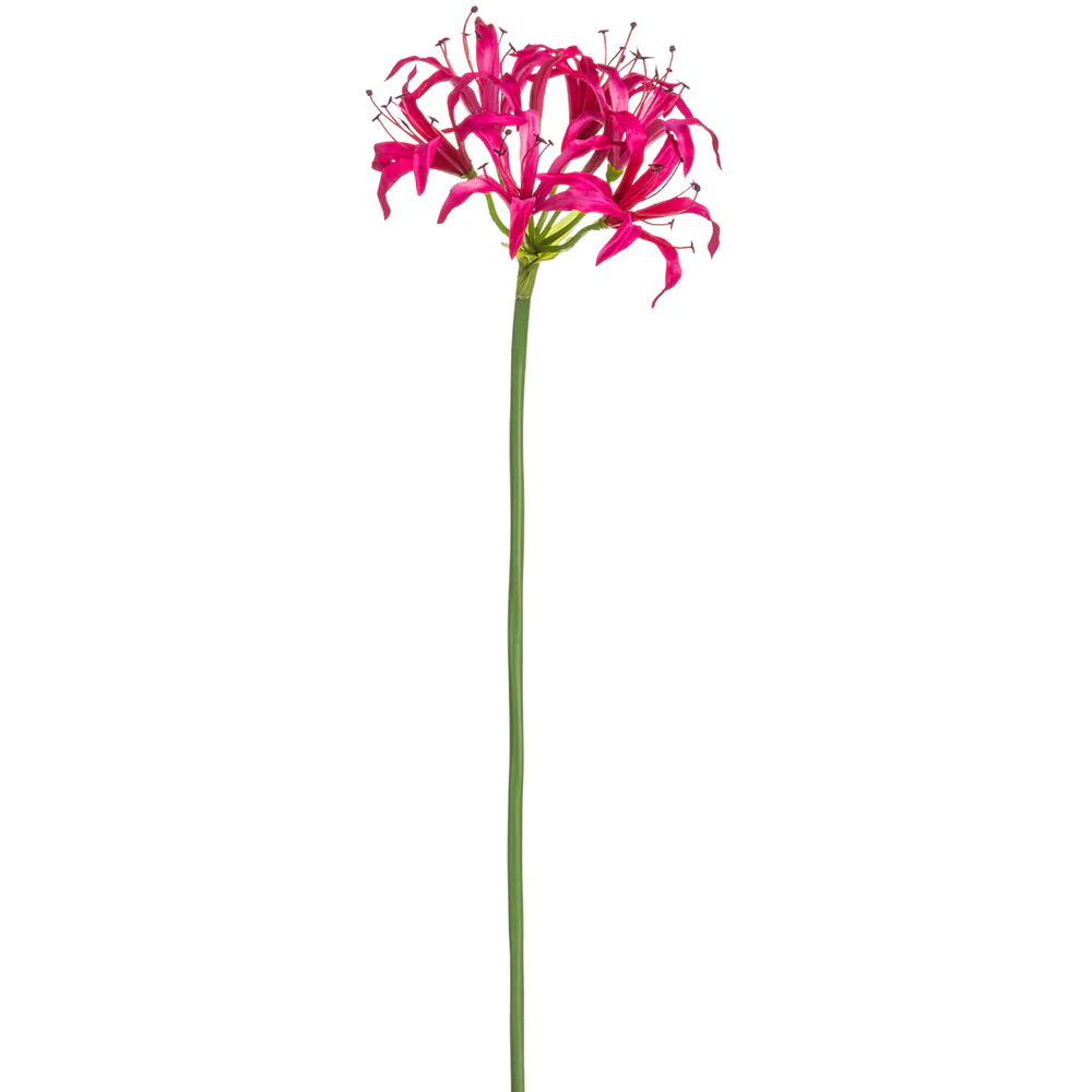 29" Silk Nerine Lily Flower Stem -Fuchsia (Pack of 12)