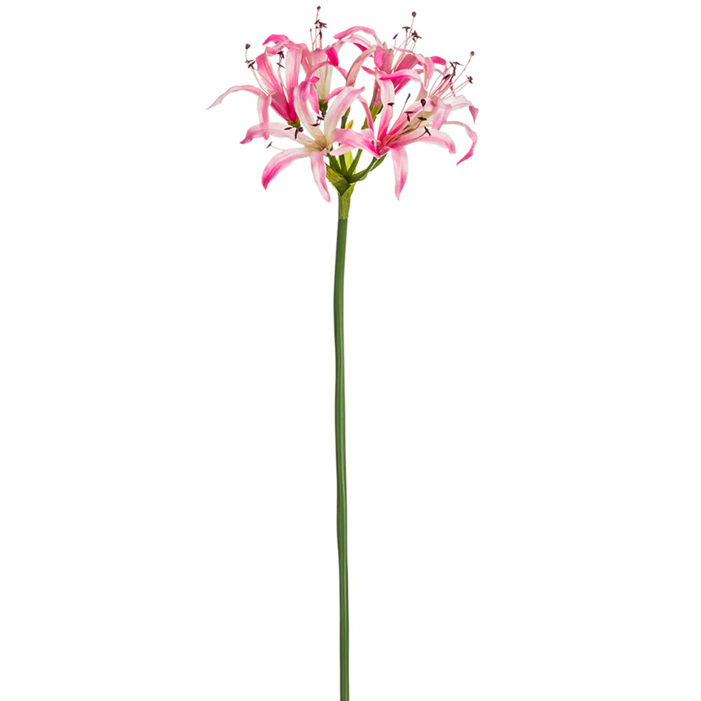 29" Silk Nerine Lily Flower Stem -Light Pink (Pack of 12)