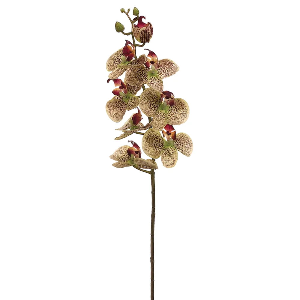 29" Silk Phalaenopsis Orchid Flower Spray -Green/Burgundy (Pack of 12)