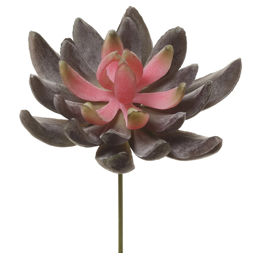 3.9" Aeonium Artificial Stem Pick -Eggplant/Mauve (Pack of 12)