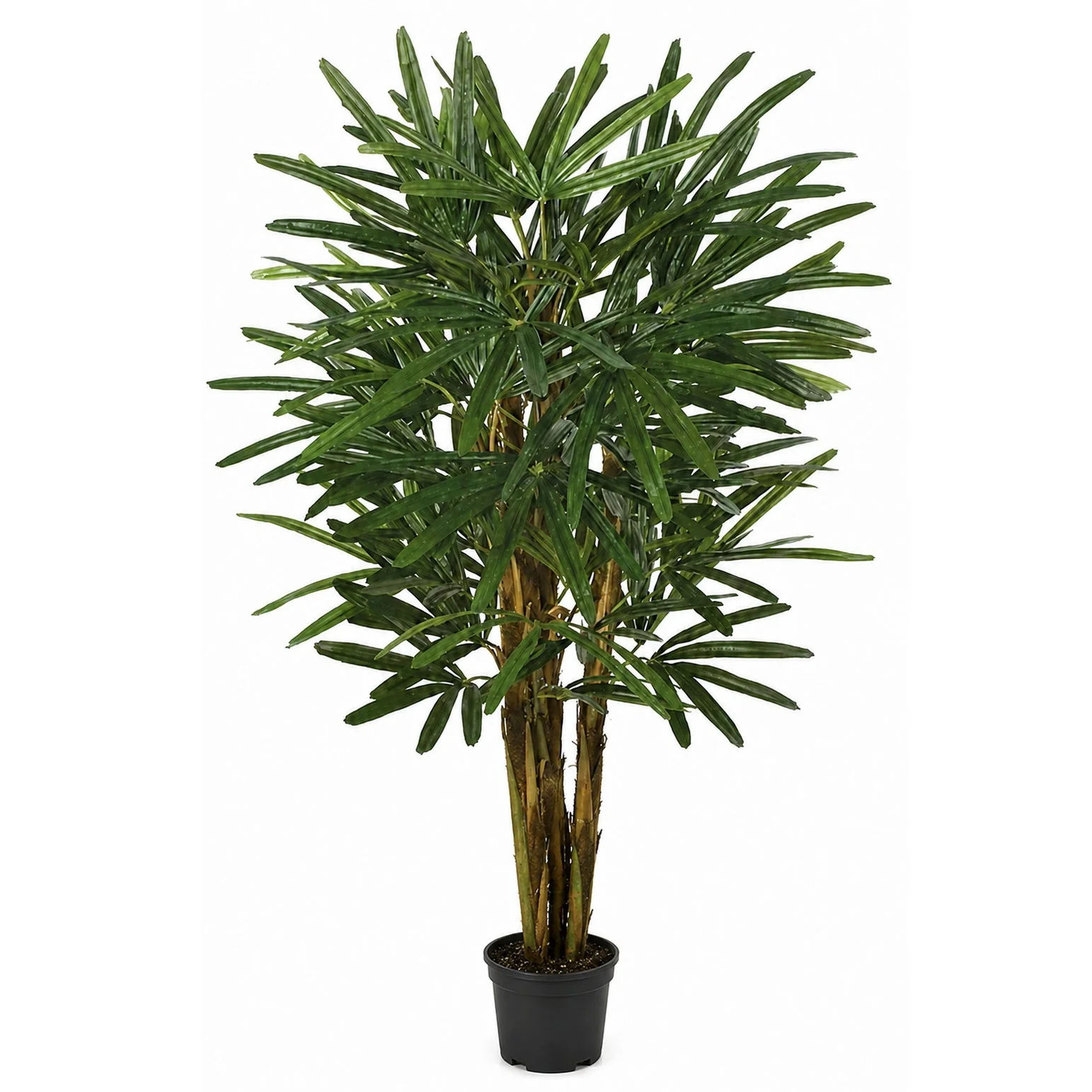 3' Rhapis Artificial Palm Tree w/Pot -Green