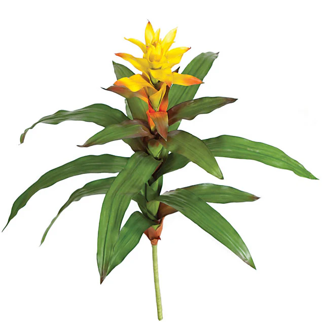 30" Artificial Bromeliad Plant Flower Bush -Gold (Pack of 4)
