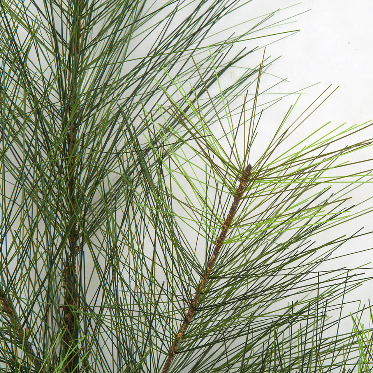 30" Artificial Long Needle Pine Stem -Green (Pack of 24) - Image 2
