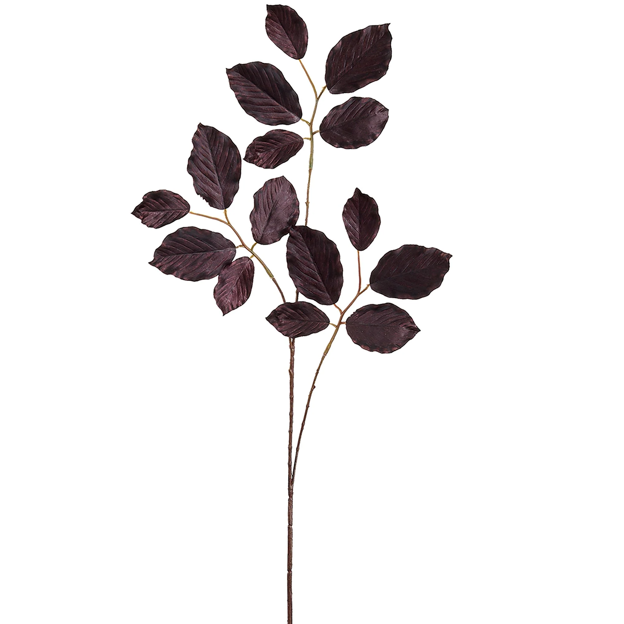 30" Beech Leaf Silk Stem -Dark Brown (Pack of 12)