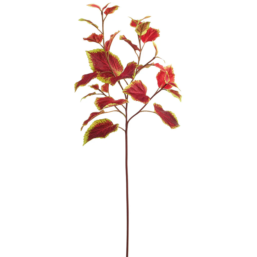 30" Coleus Leaf Silk Stem -Burgundy/Green (Pack of 12)