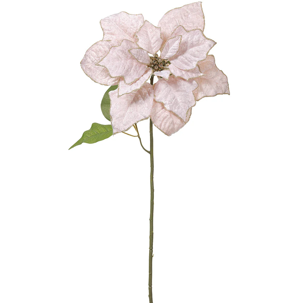 30" Glittered Velvet Poinsettia Artificial Flower Stem -Cream/Gold (Pack of 12)