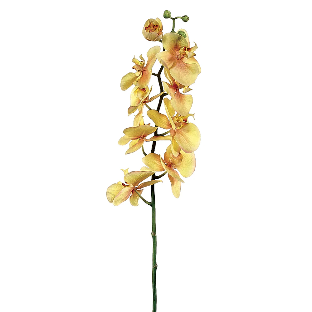30" Hand-Wrapped Silk Phalaenopsis Orchid Flower Spray -Mustard (Pack of 6)
