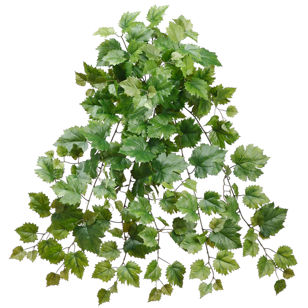 30" Hanging Grape Leaf Silk Plant -2 Tone Green (Pack of 6)