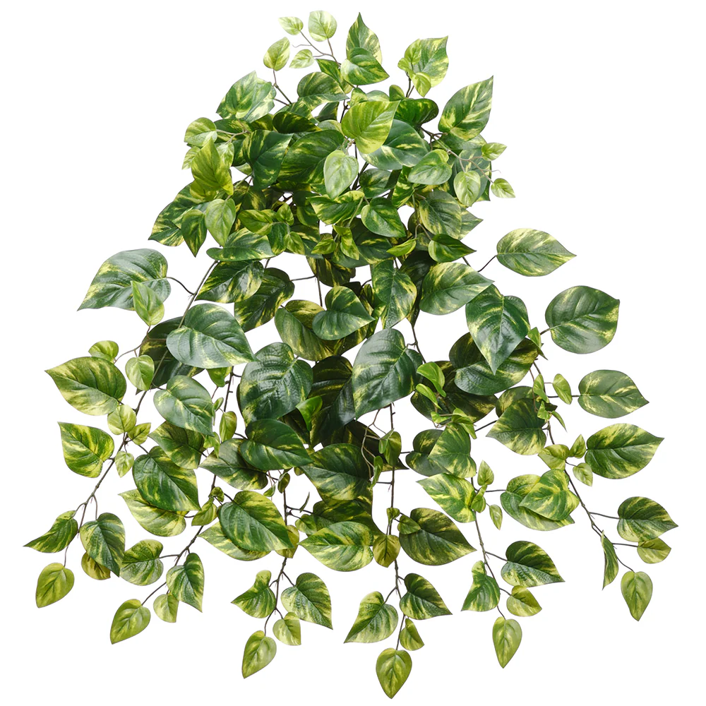 30" Hanging Pothos Leaf Silk Plant -Green/Variegated (Pack of 12)