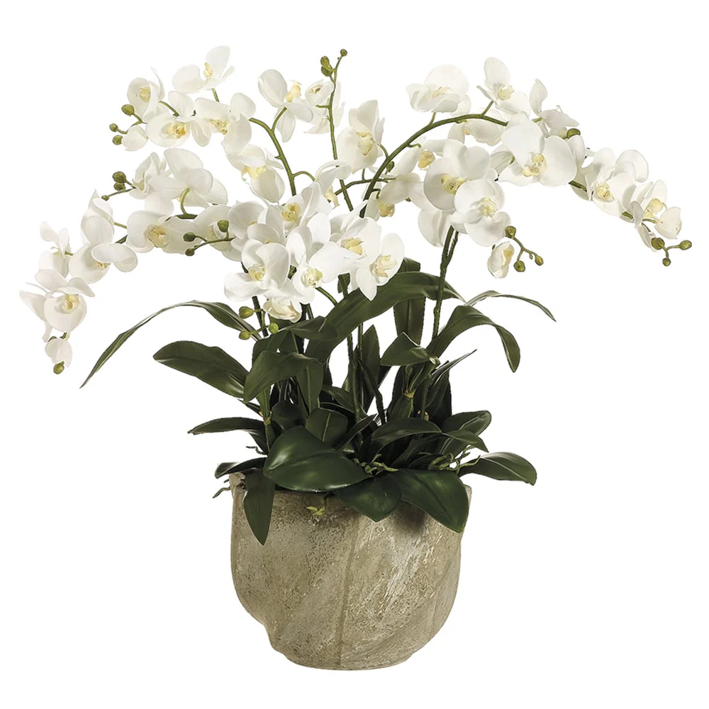 30" Phalaenopsis Orchid Silk Flower Arrangement -White