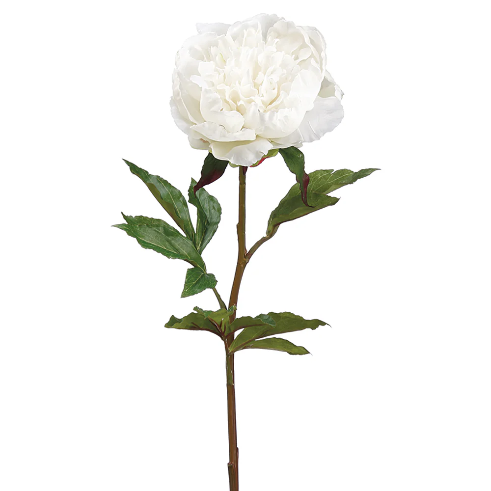 30" Real Touch Peony Silk Flower Stem -Cream (Pack of 12)