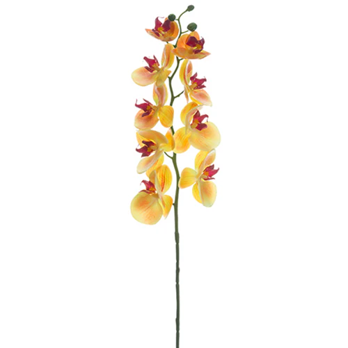 30" Real Touch Phalaenopsis Orchid Silk Flower Stem -Apricot (Pack of 12)