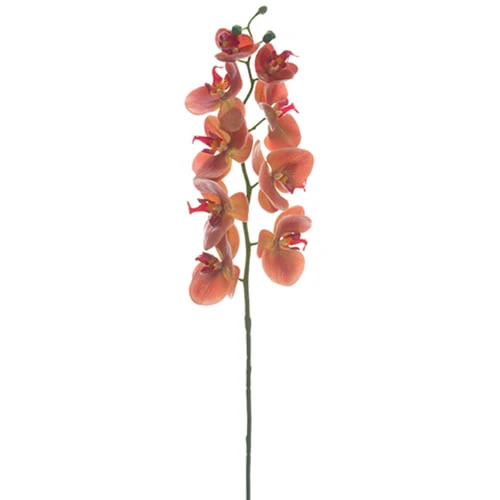 30" Real Touch Phalaenopsis Orchid Silk Flower Stem -Coral (Pack of 12)