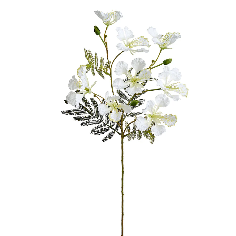 30" Royal Poinciana Silk Flower Stem -White (Pack of 12)