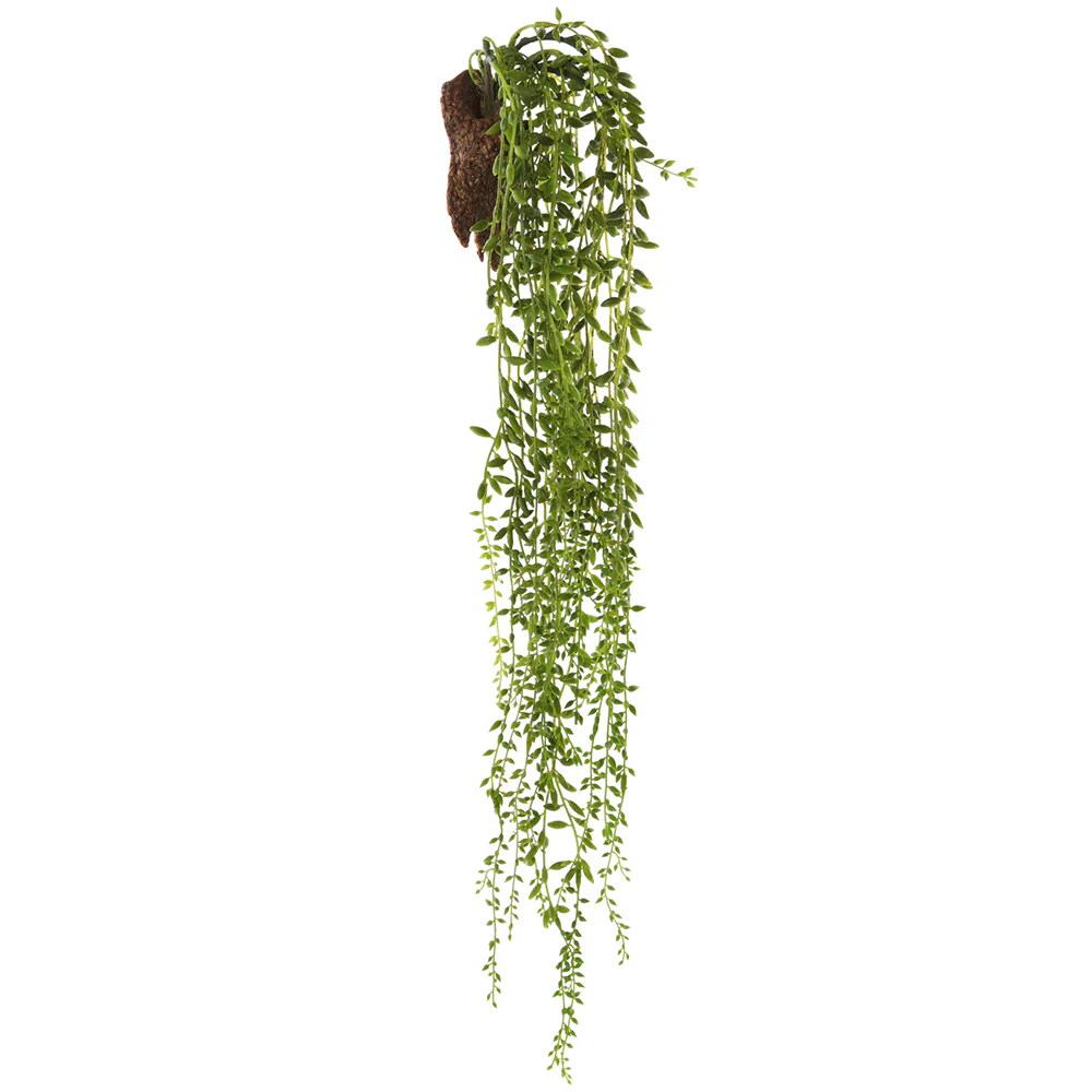 30" Sedum Succulent Artificial Plant w/Wall Hanger -Green (Pack of 6)
