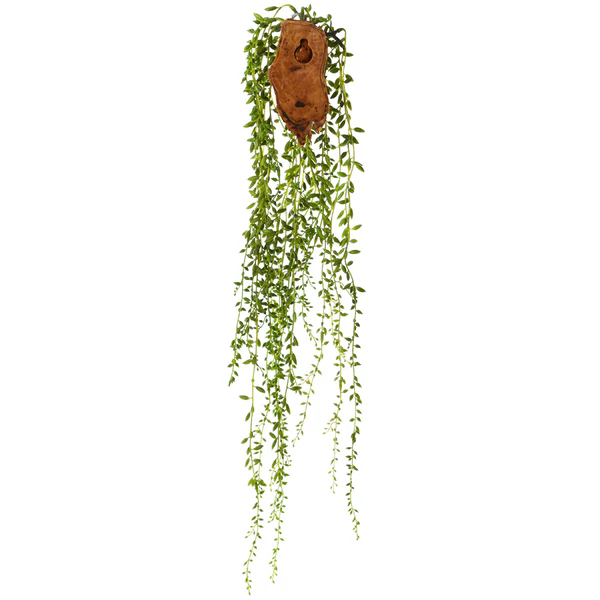 30" Sedum Succulent Artificial Plant w/Wall Hanger -Green (Pack of 6) - Image 2