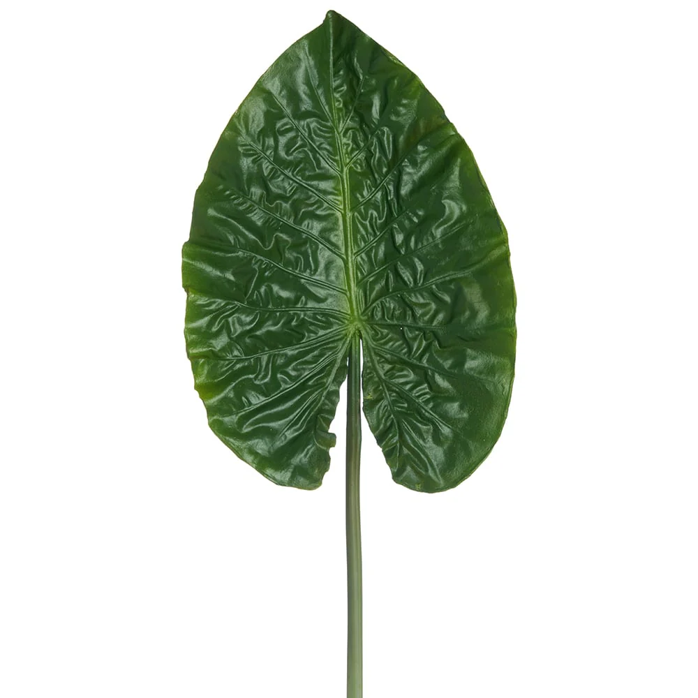 30" Silk Alocasia Leaf Stem -Green (Pack of 12)