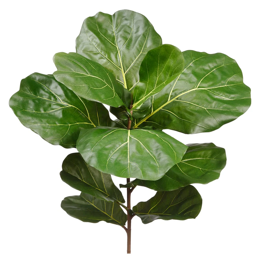 30" Silk Fiddle Leaf Fig Branch Stem -Green (Pack of 6)