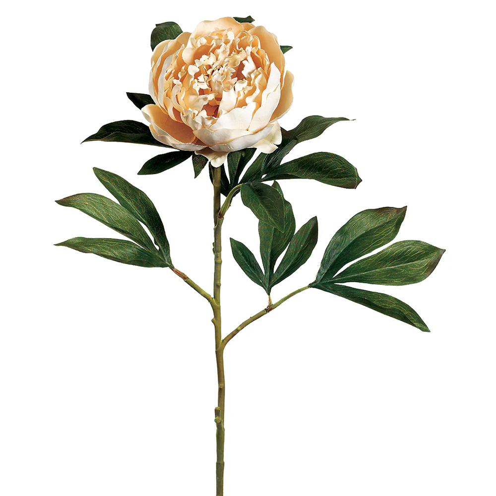30" Silk Peony Flower Spray -Vanilla (Pack of 12)