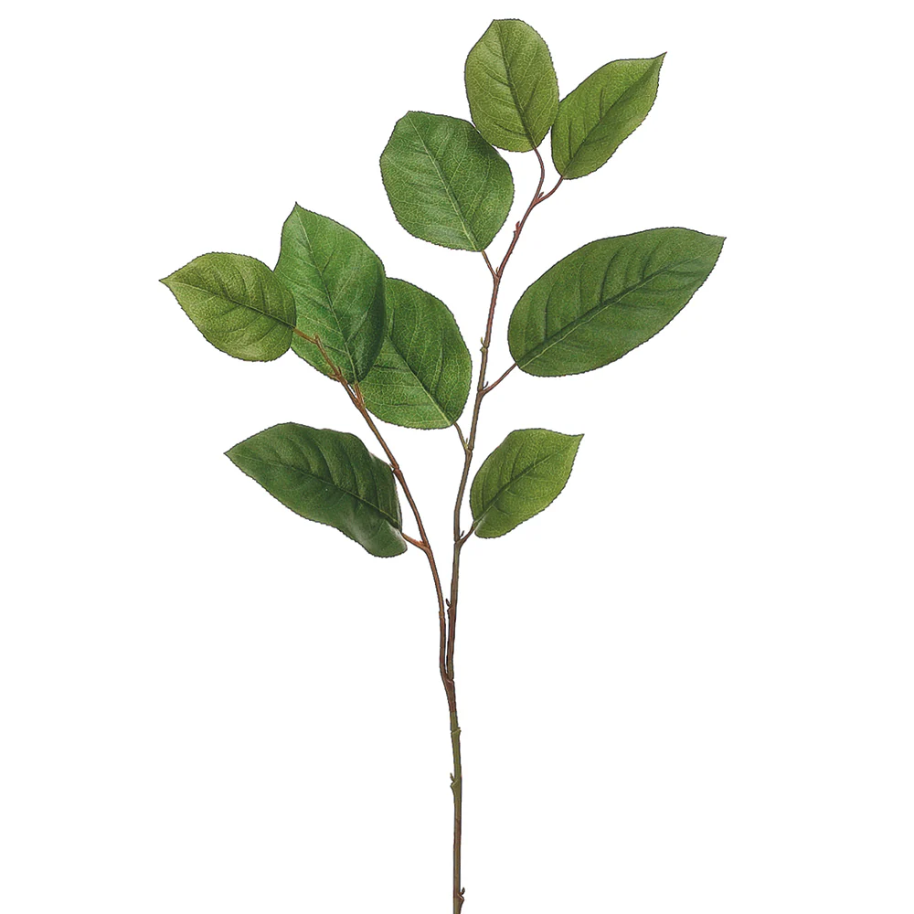 30" Silk Salal Leaf Stem -2 Tone Green (Pack of 12)