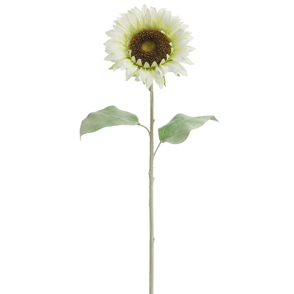 30" Sunflower Silk Flower Stem -White (Pack of 12)