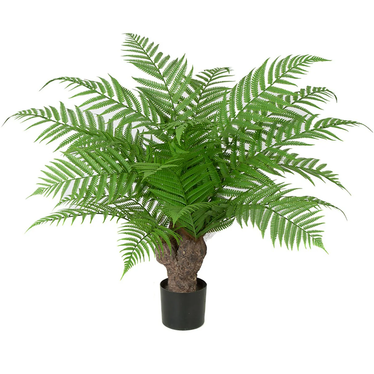 30"Hx34"W IFR Alsophila Fern Artificial Plant w/Pot -Green