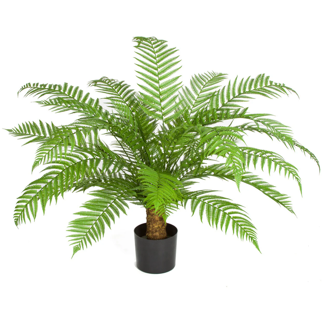 30"Hx48"W Outdoor UV-Resistant Artificial Alsophila Fern Leaf Plant w/Pot -Green