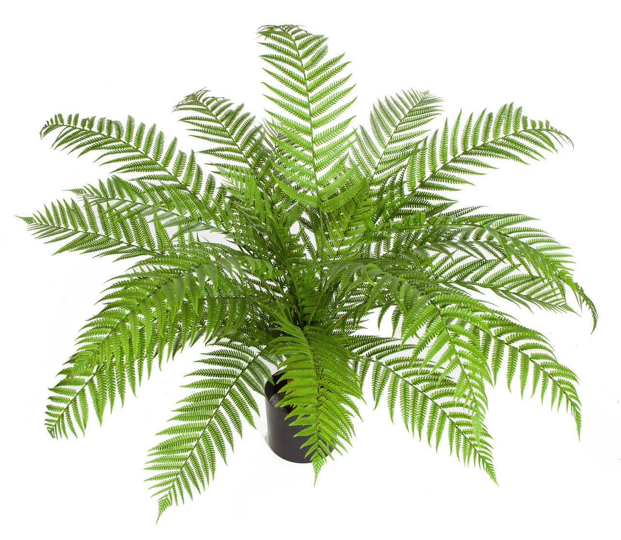 30"Hx48"W Outdoor UV-Resistant Artificial Alsophila Fern Leaf Plant w/Pot -Green - Image 2