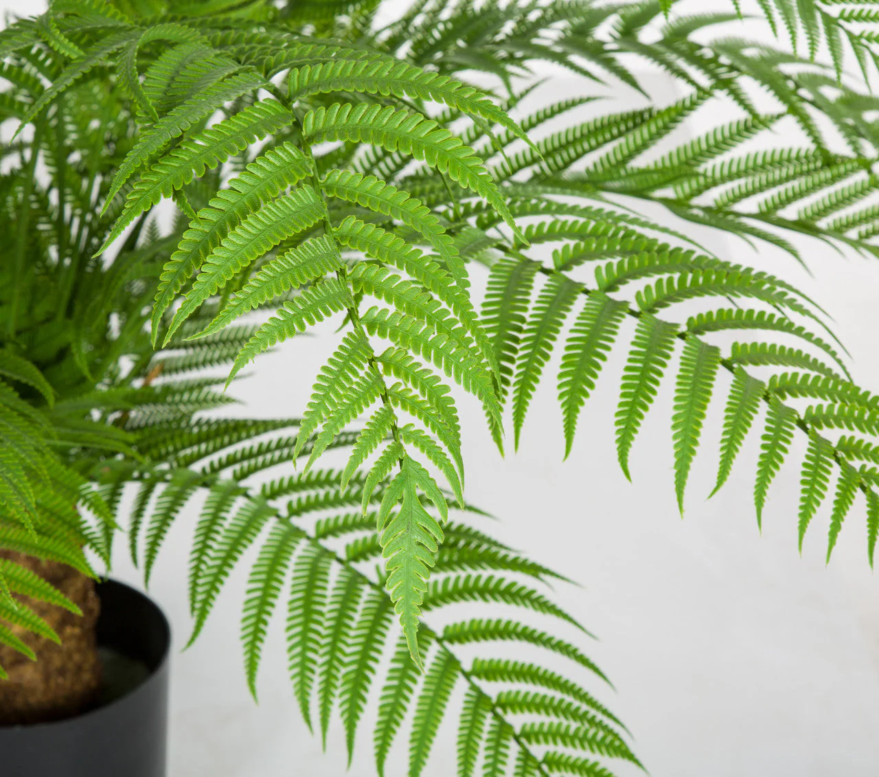 30"Hx48"W Outdoor UV-Resistant Artificial Alsophila Fern Leaf Plant w/Pot -Green - Image 3