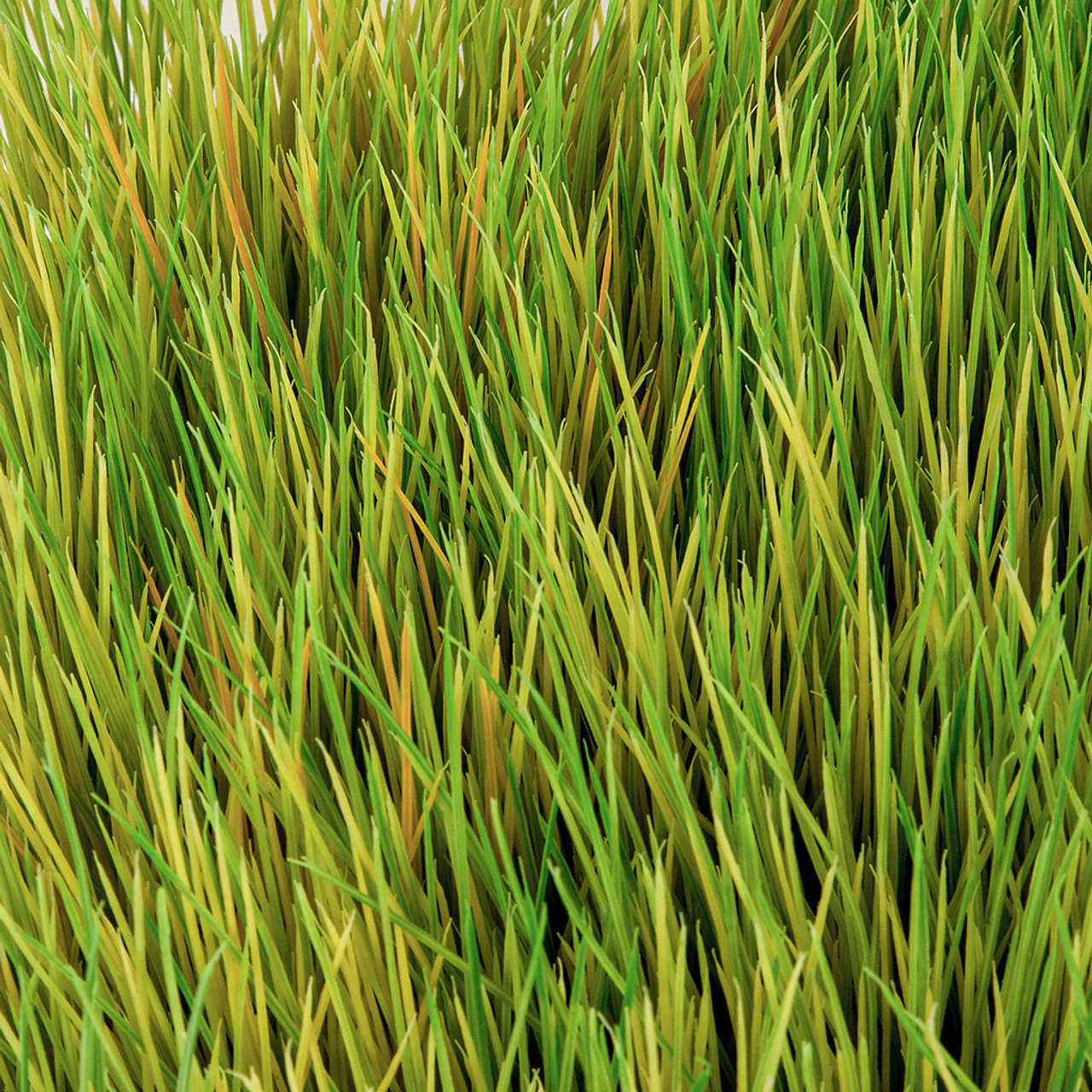 30"x20"x6" Mexican Grass Artificial Mat -Green/Tan - Image 3