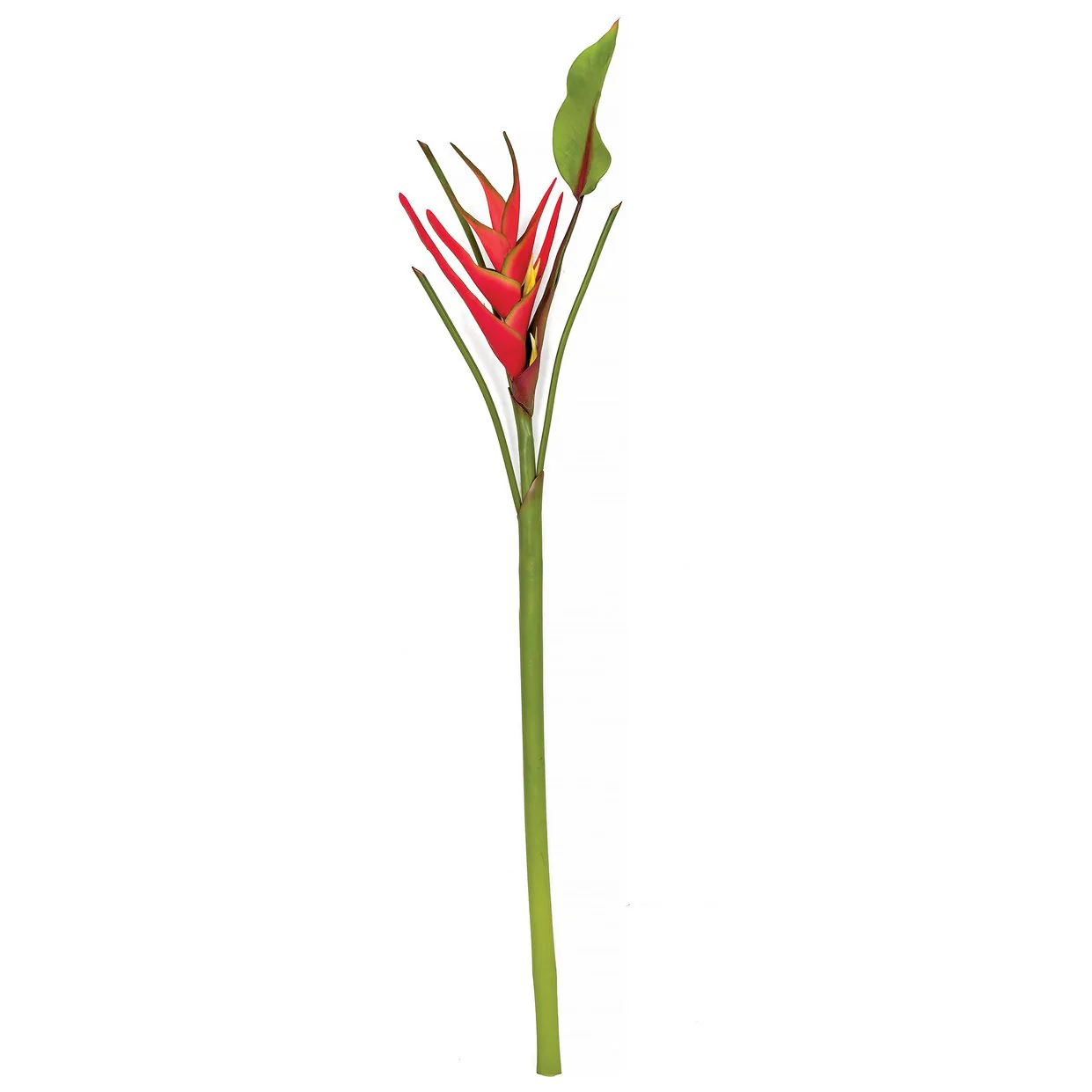 31.5" Artificial Heliconia Flower Stem -Red (Pack of 12)
