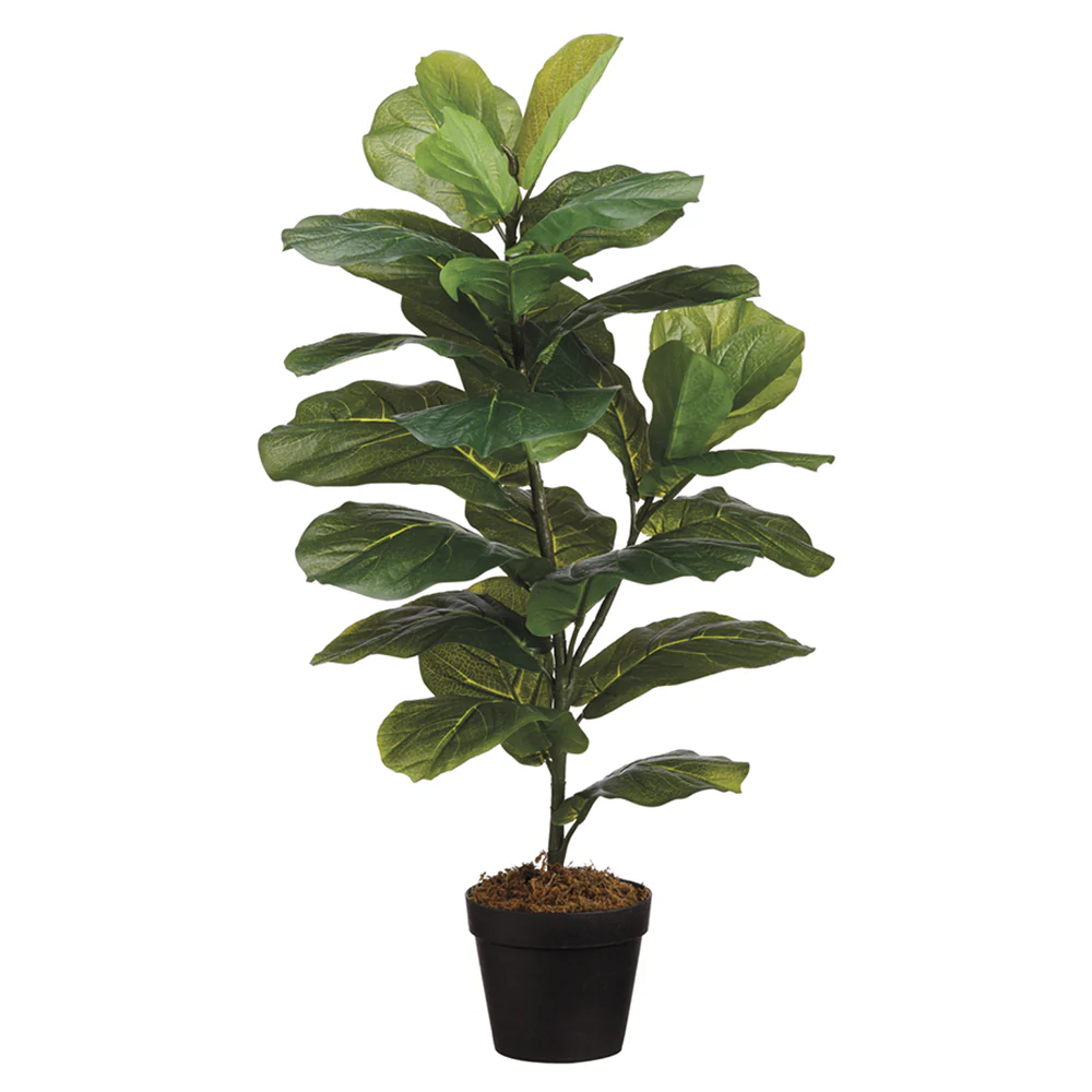 31.5" Fiddle Leaf Fig Silk Tree w/Pot -Green (Pack of 6)