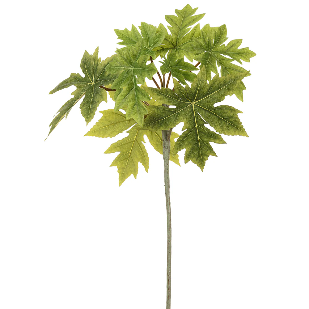 31.5" Silk Paw Paw Leaf Stem -Green (Pack of 12)