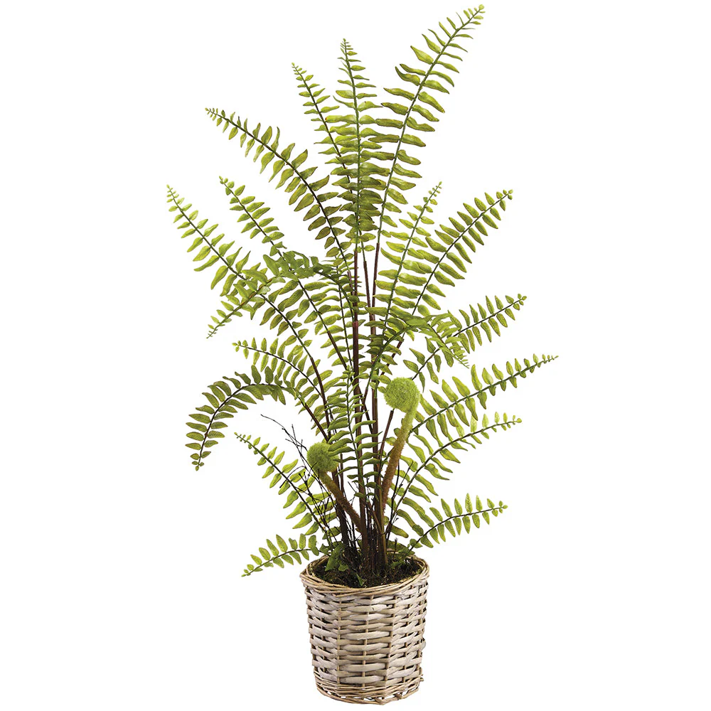 31" Boston Fern Artificial Plant w/Basket -Green (Pack of 4)