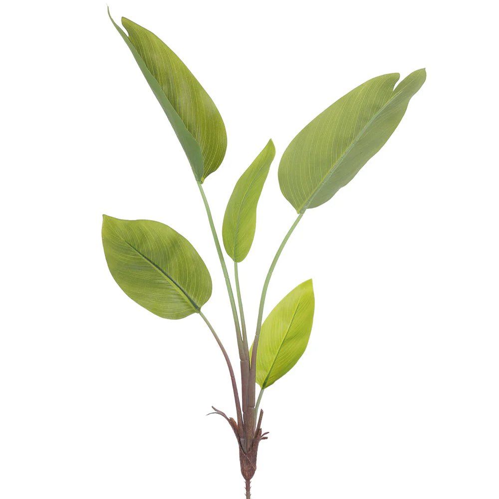 31" Canna Leaf Silk Plant -Green (Pack of 6)