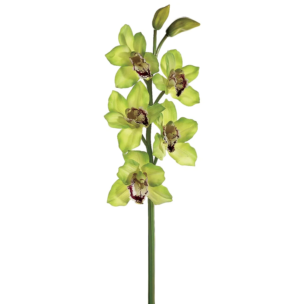 31" Hand-Wrapped Cymbidium Orchid Silk Flower Stem -Green/Burgundy (Pack of 6)