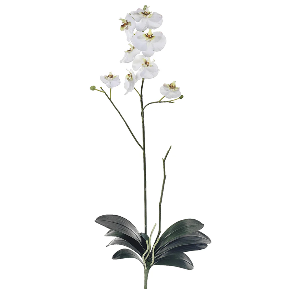 31" Hand-Wrapped Silk Phalaenopsis Orchid Plant Flower Spray -Cream/Green (Pack of 4)