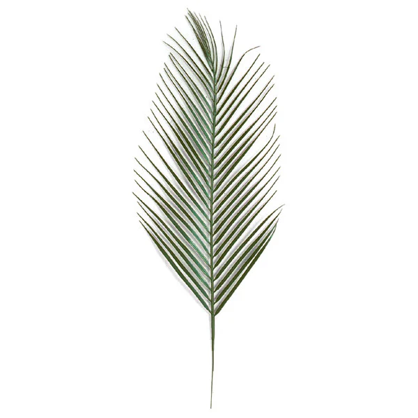 31" Outdoor UV-Proof Artificial Areca Palm Branch Stem -Green (Pack of 60)