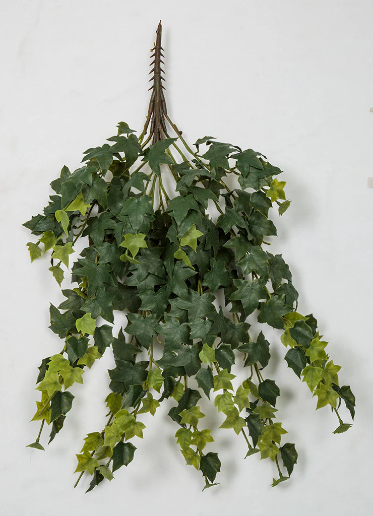 31" Outdoor UV-Proof Artificial Variegated English Ivy Hanging Plant -2 Tone Green (Pack of 4) - Image 2
