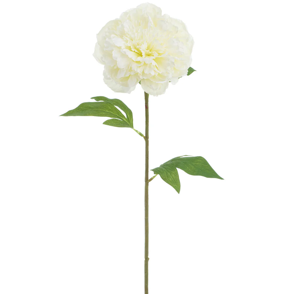 31" Peony Faux Flower Stem -Cream (Pack of 12)