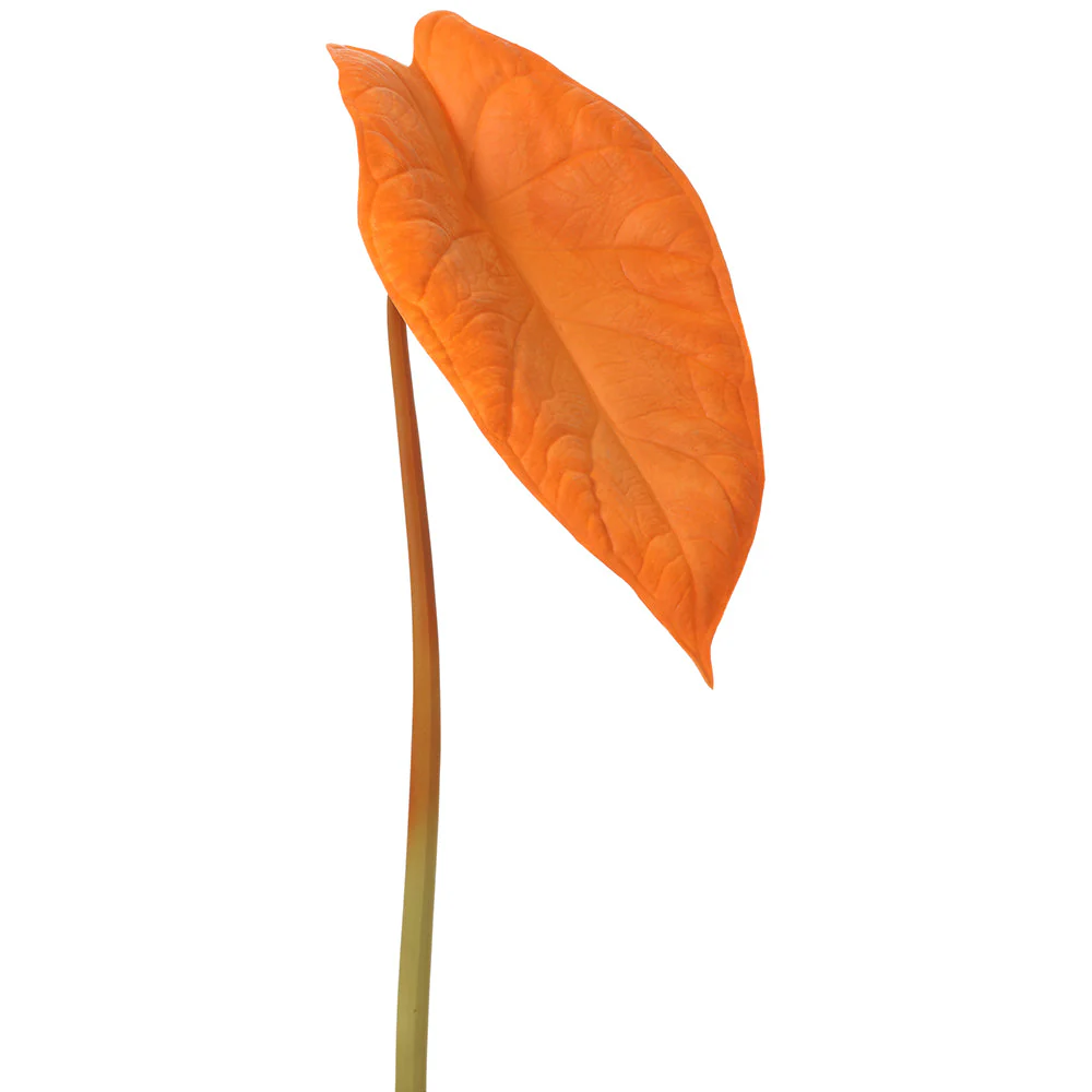 31" Silk Alocasia Leaf Stem -Orange (Pack of 12)