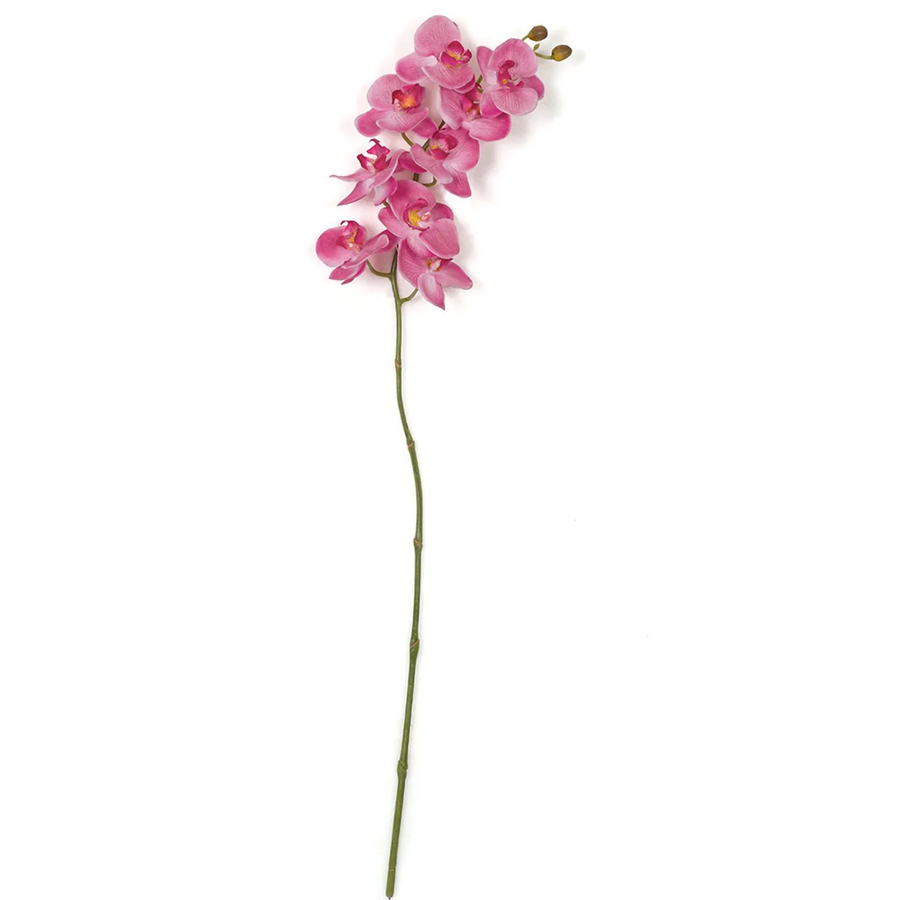 31" Silk Phalaenopsis Orchid Flower Stem -Fuchsia/Beauty (Pack of 12)