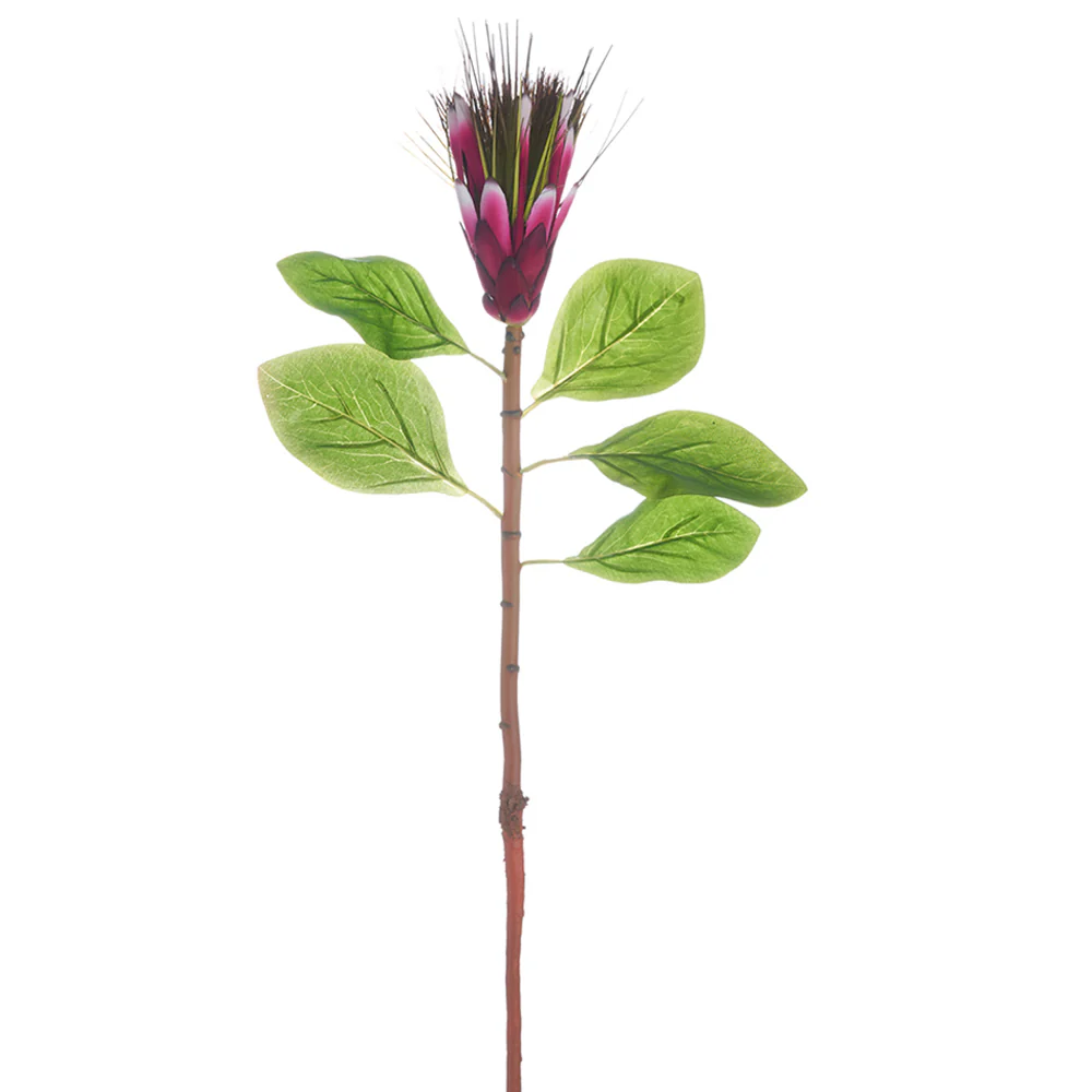 31" Silk Protea Flower Stem -Beauty (Pack of 12)