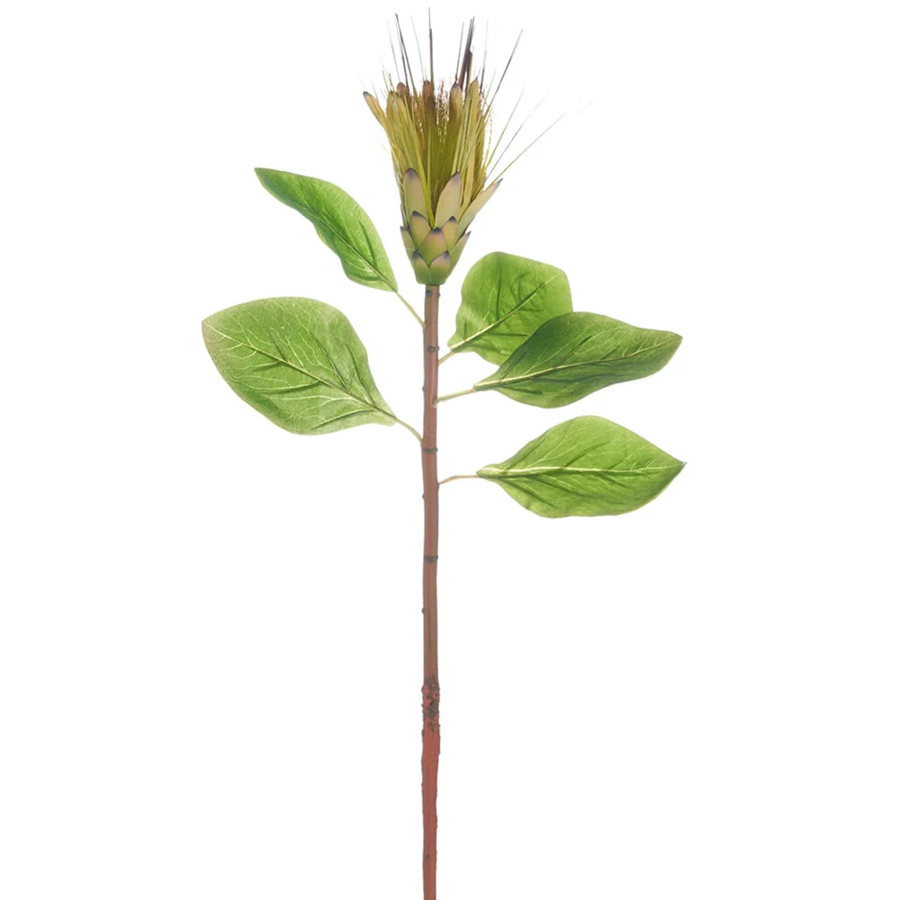 31" Silk Protea Flower Stem -Green (Pack of 12)
